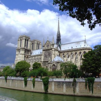 notre dame cathedral from the seine river with vegetation
