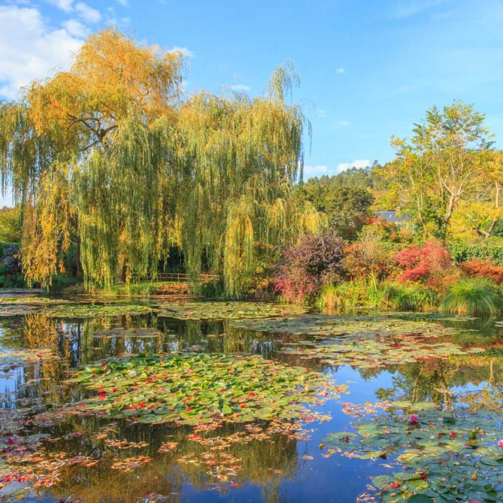 guided tour giverny water lillies garden in the fall
