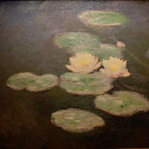 Waterlilies painted by Claude Monet