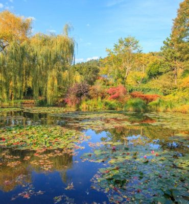 Giverny water lilies pond