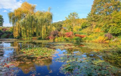 Giverny water lilies pond